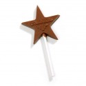 Bespoke chocolate star lollipop
