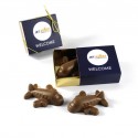 Promotional Chocolate Aeroplane Gift Box