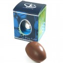 Chocolate Easter Egg with Promotional Packaging
