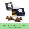 Airplane gift box