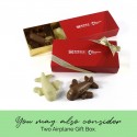 Chocolate airplane gift box