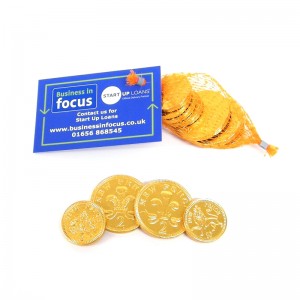 Gold Foiled Chocolate Coin Net Small